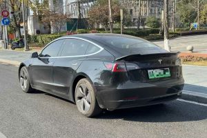 Model X 特斯拉 Performance 高性能版