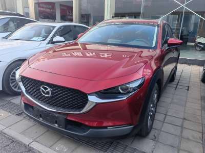 2023年1月 馬自達(dá) CX-30 2.0L 自動嘉悅型圖片