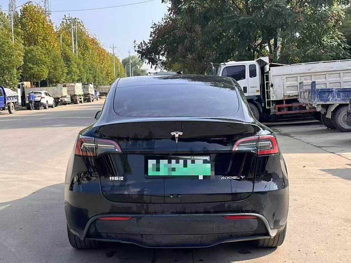 特斯拉 Model 3  2020款 改款 長(zhǎng)續(xù)航后輪驅(qū)動(dòng)版圖片