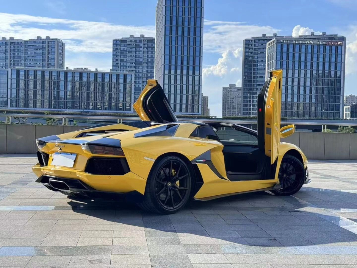 蘭博基尼 Aventador  2013款 LP 700-4 Roadster圖片