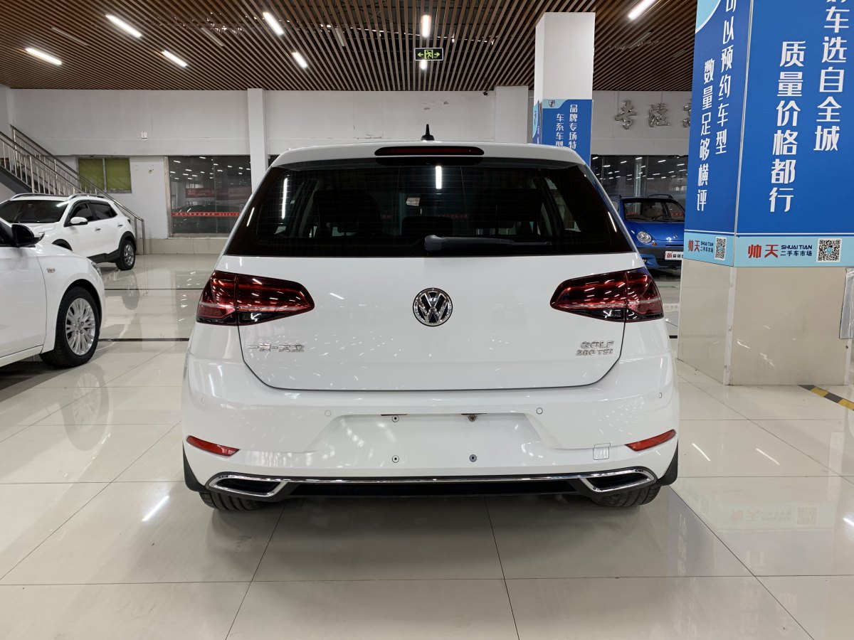 大眾 高爾夫  2019款 280TSI DSG豪華型 國(guó)VI圖片