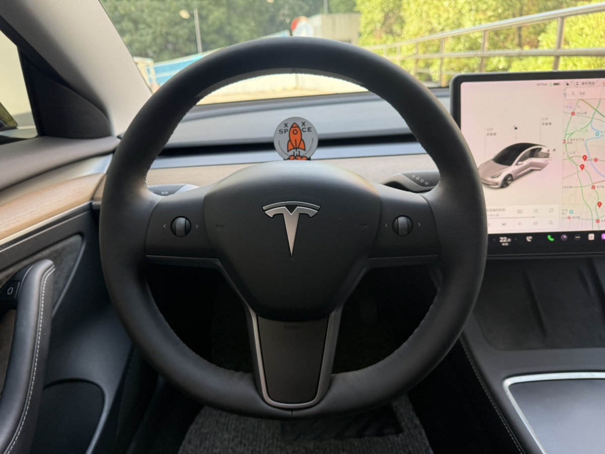 特斯拉 Model 3  2019款 標(biāo)準(zhǔn)續(xù)航后驅(qū)升級版圖片