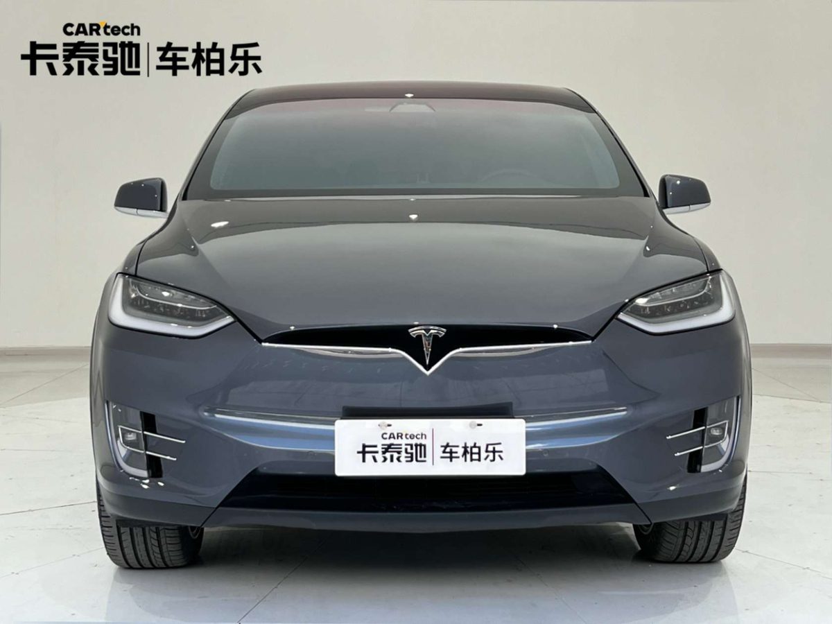 特斯拉 Model X  2020款 长续航升级版图片