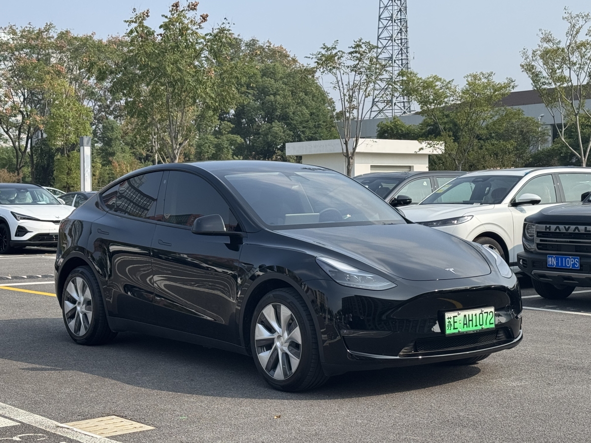 特斯拉 Model Y  2021款 改款 Performance高性能全輪驅(qū)動版圖片