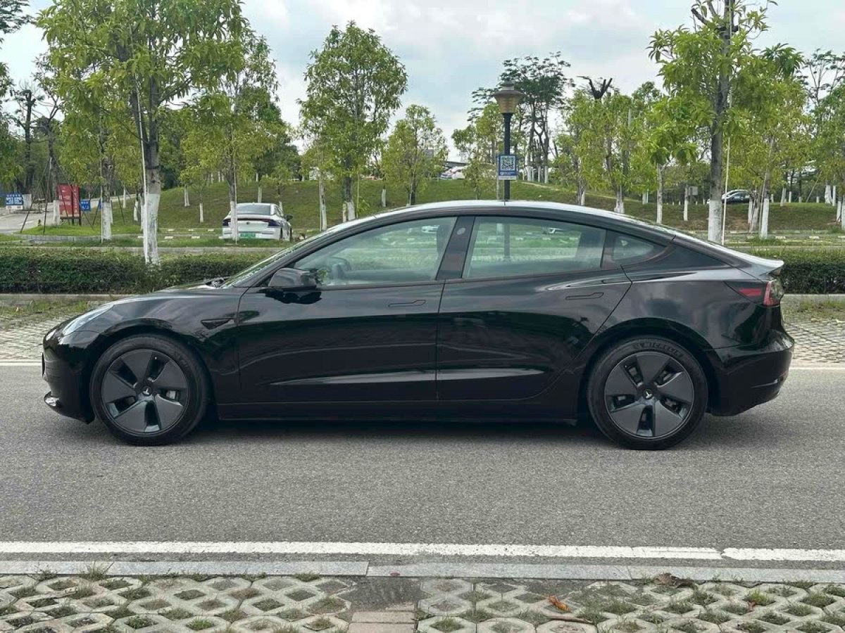 特斯拉 Model 3  2021款 標(biāo)準(zhǔn)續(xù)航后驅(qū)升級(jí)版 3D6圖片