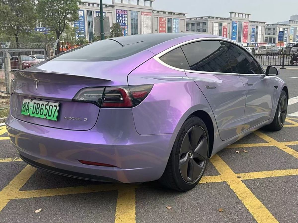 特斯拉 Model 3  2019款 標(biāo)準(zhǔn)續(xù)航后驅(qū)升級(jí)版圖片