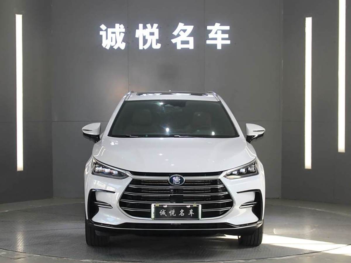 2023年3月比亞迪 唐新能源  2021款 DM-i 112KM 尊榮型