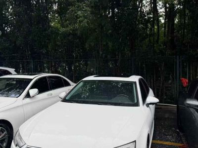 2017年1月 奧迪 奧迪A4(進(jìn)口) A4 45TFSI Allroad quattro 時尚型圖片
