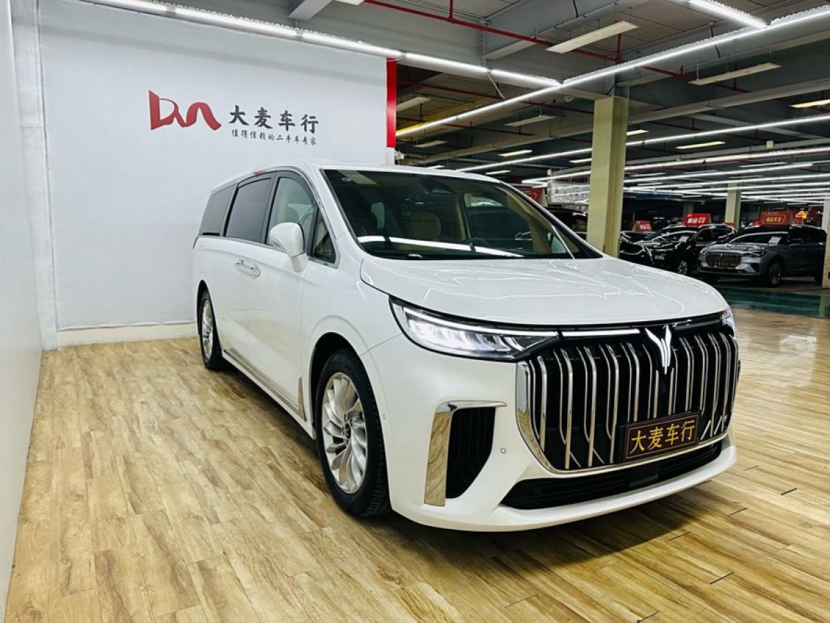 嵐圖 夢想家  2024款 PHEV 超長續(xù)航尊貴版圖片