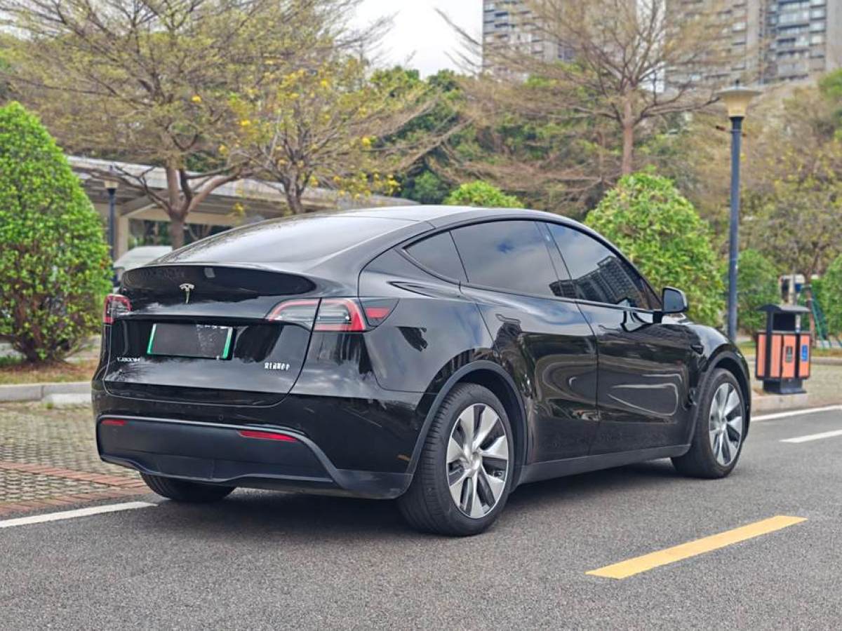 特斯拉 Model 3  2022款 后輪驅(qū)動(dòng)版圖片