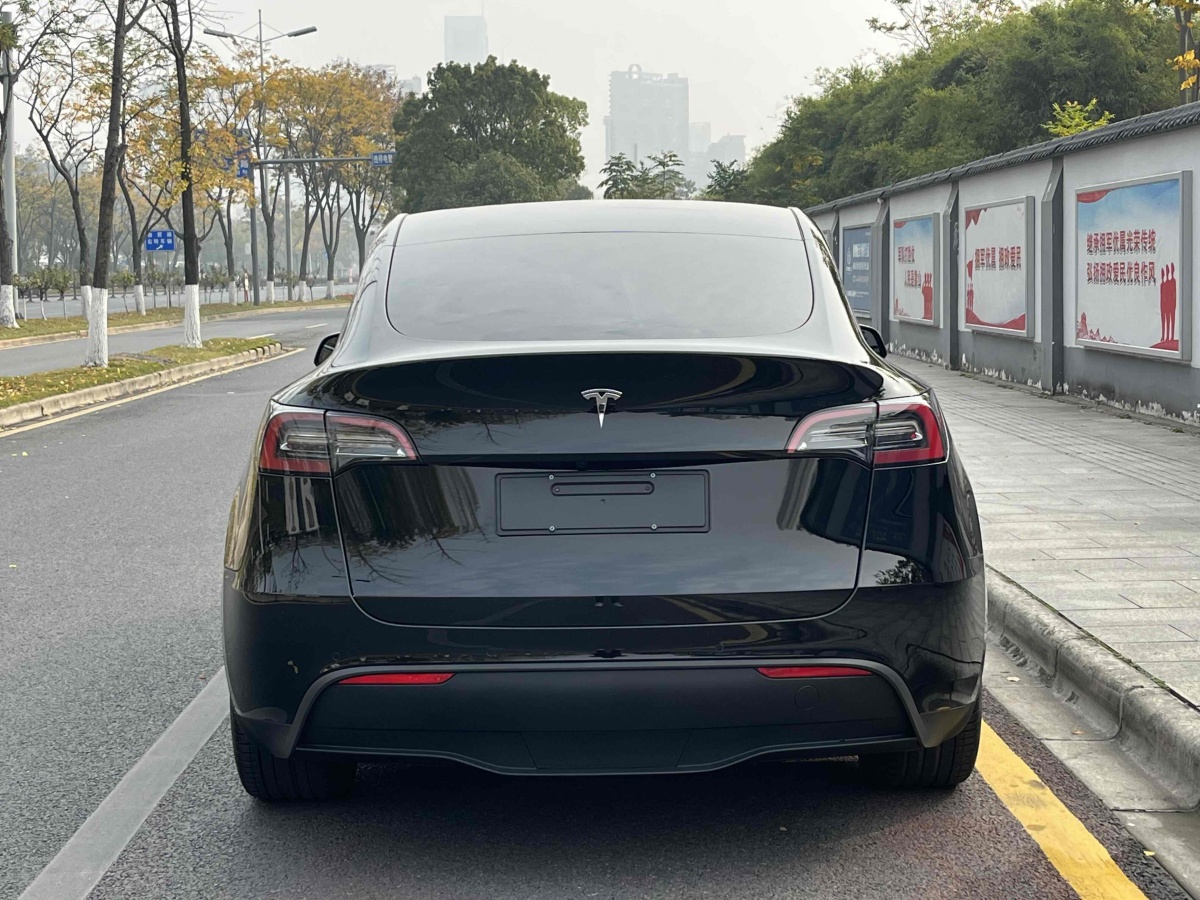 特斯拉 Model 3  2020款 改款 長續(xù)航后輪驅(qū)動版圖片