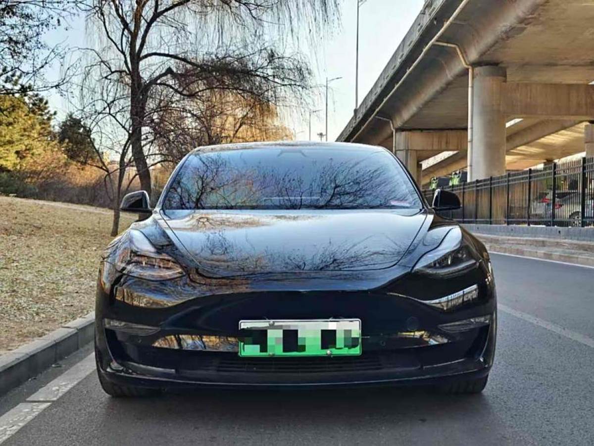 特斯拉 Model 3  2021款 改款 Performance高性能全輪驅(qū)動版圖片