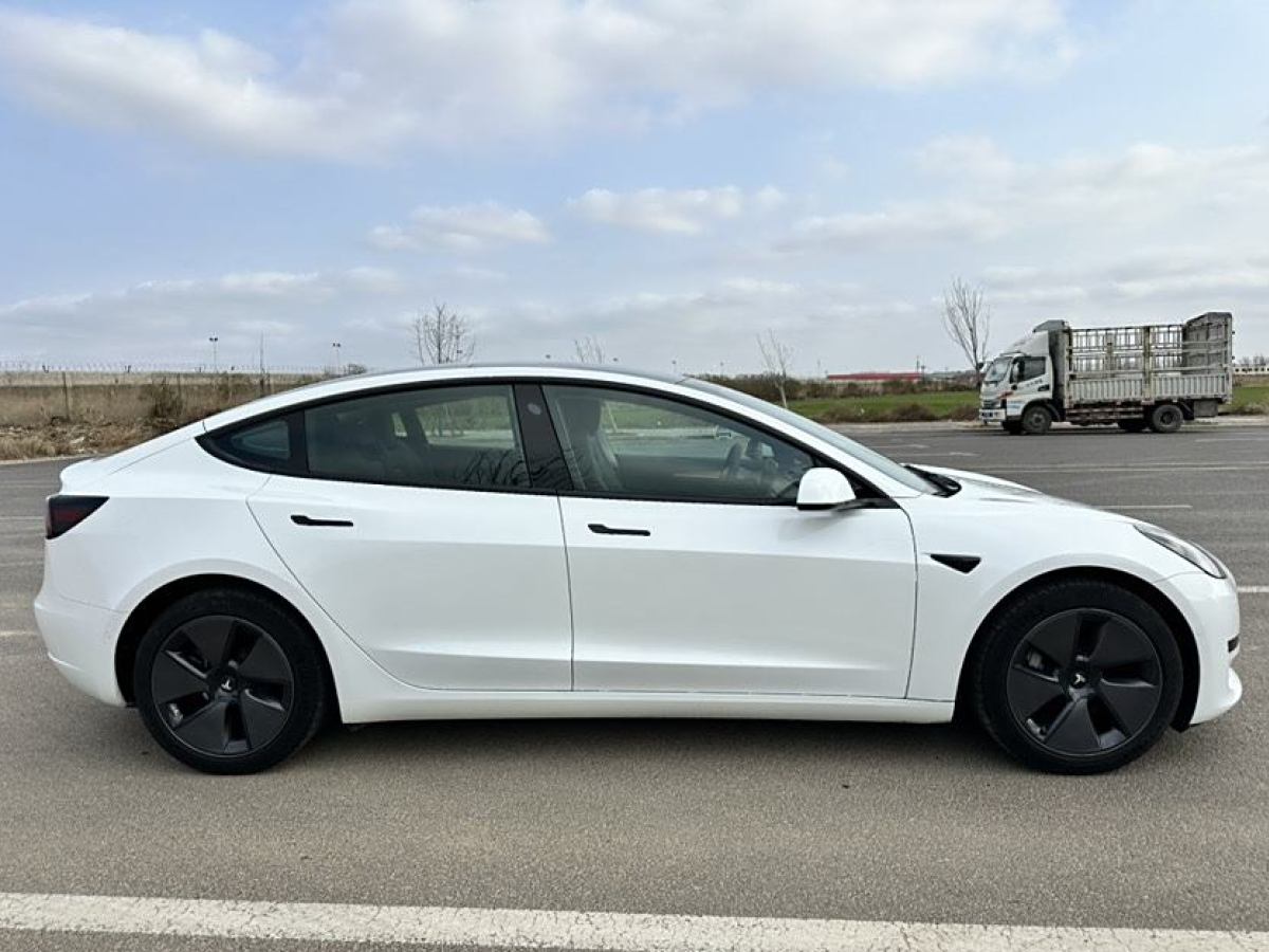 特斯拉 Model 3  2021款 改款 標準續(xù)航后驅升級版圖片