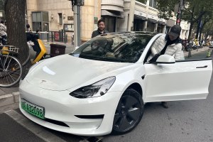 Model 3 特斯拉 標(biāo)準(zhǔn)續(xù)航后驅(qū)升級版 3D6