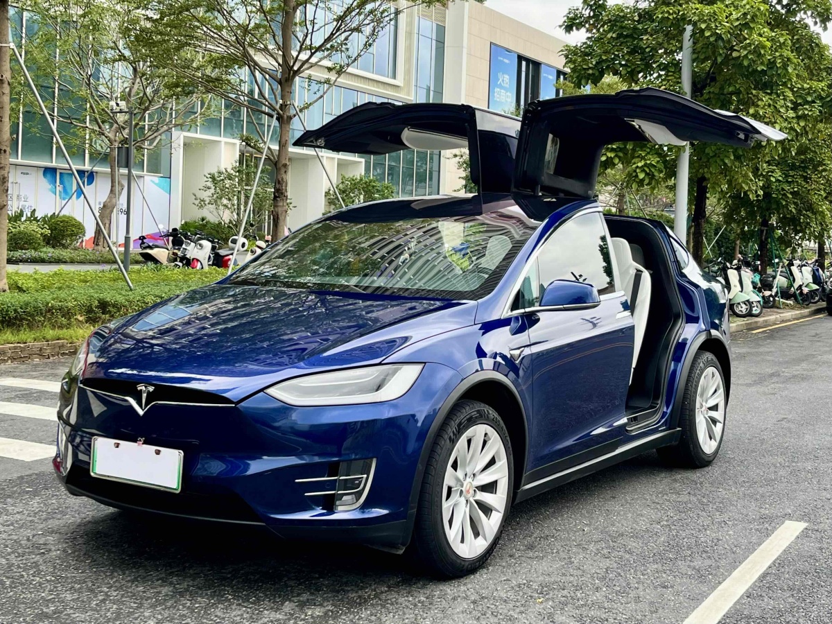 特斯拉 Model X  2016款 Model X 75D圖片