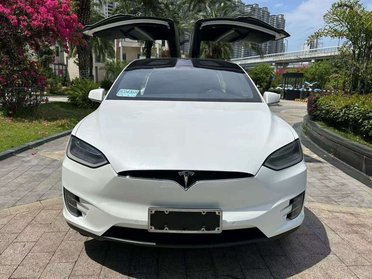 特斯拉 Model X  2017款 Model X 100D 長(zhǎng)續(xù)航版圖片
