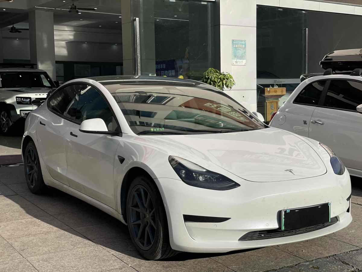 特斯拉 Model 3  2020款 改款 標(biāo)準(zhǔn)續(xù)航后驅(qū)升級(jí)版圖片