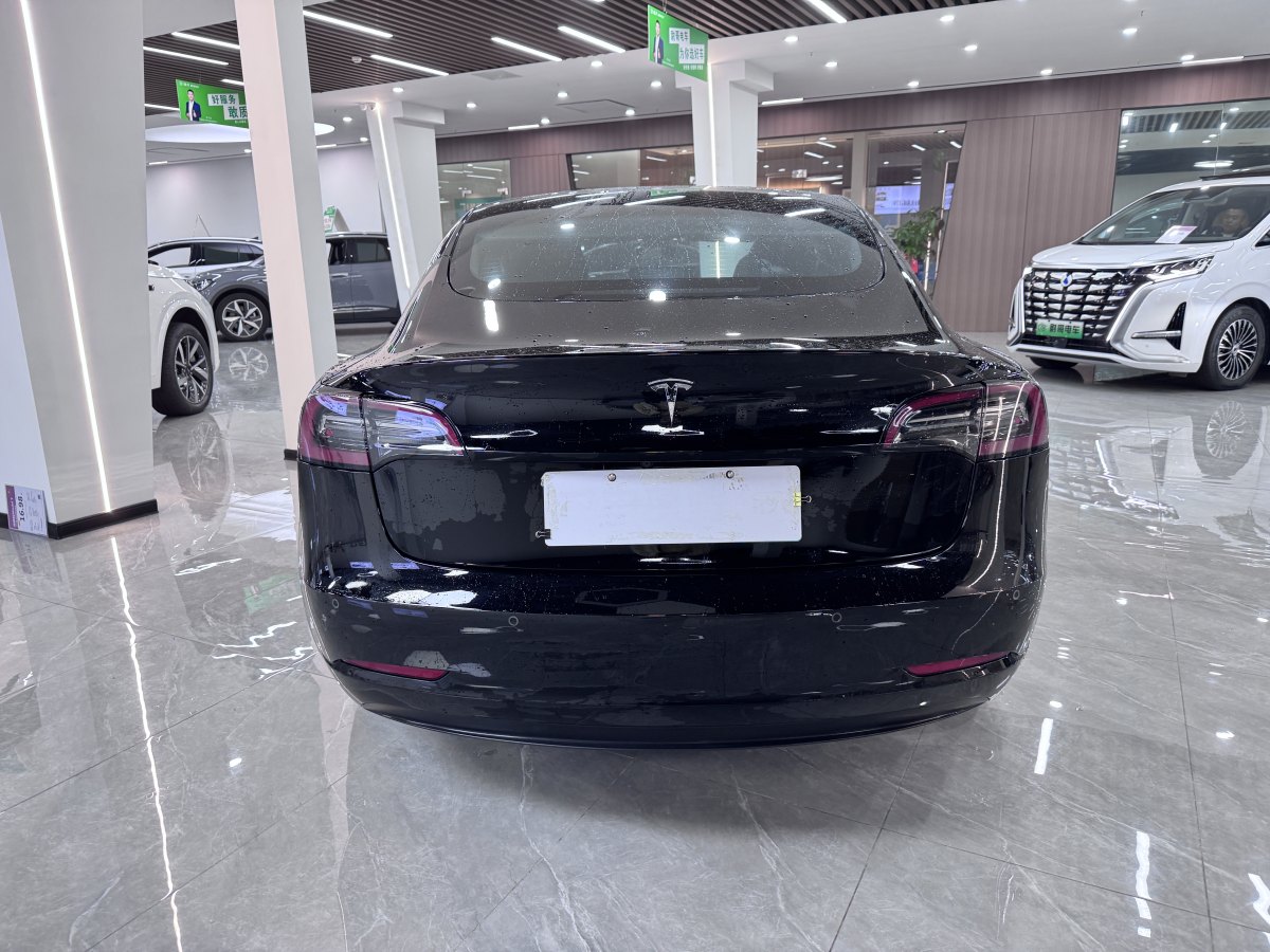 特斯拉 Model 3  2019款 標準續(xù)航后驅(qū)升級版圖片