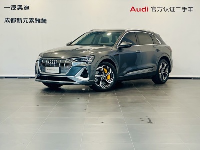 2021年7月 奥迪 奥迪e-tron 50 quattro 臻选型图片