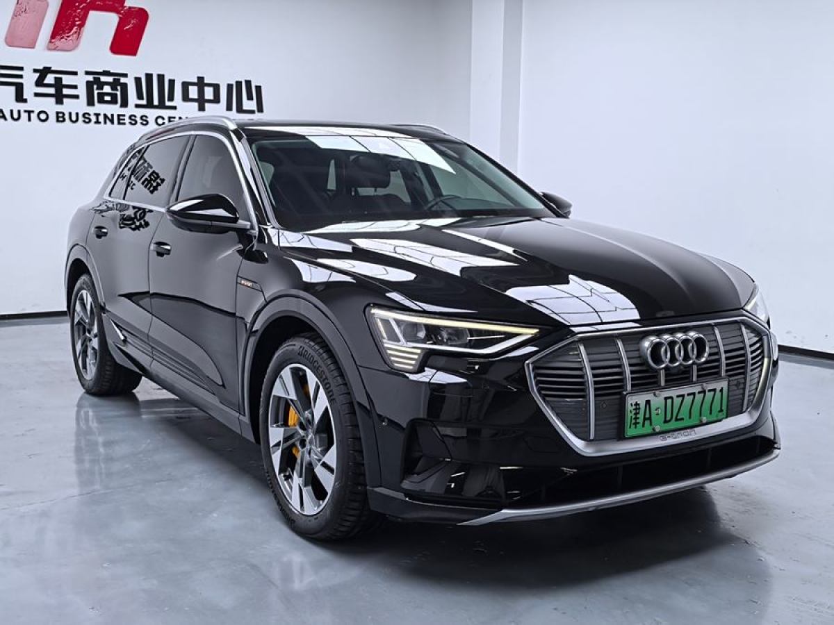 奧迪 奧迪e-tron  2019款 55 quattro 專享型圖片