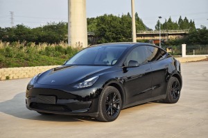 Model Y 特斯拉 改款 長續(xù)航全輪驅(qū)動版
