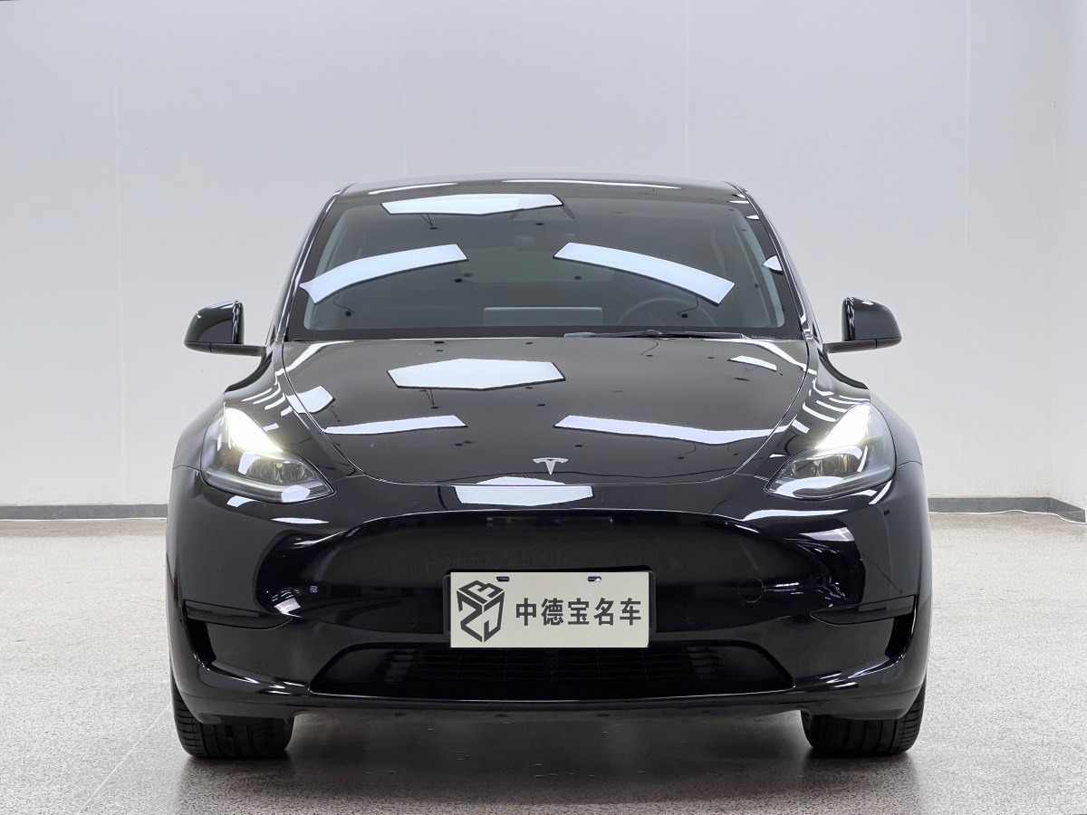 特斯拉 Model Y  2022款 后輪驅(qū)動(dòng)版圖片