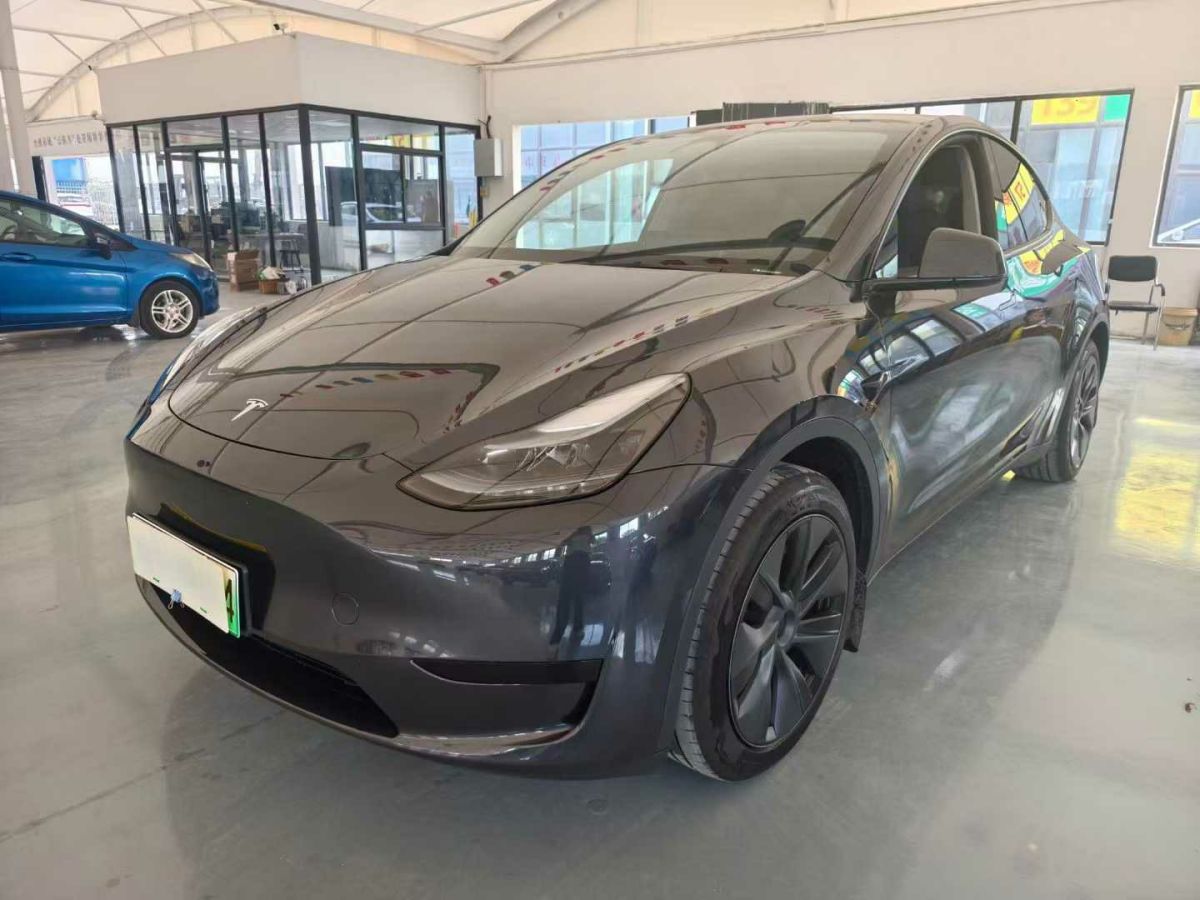 特斯拉 Model Y  2024款 Performance高性能版圖片