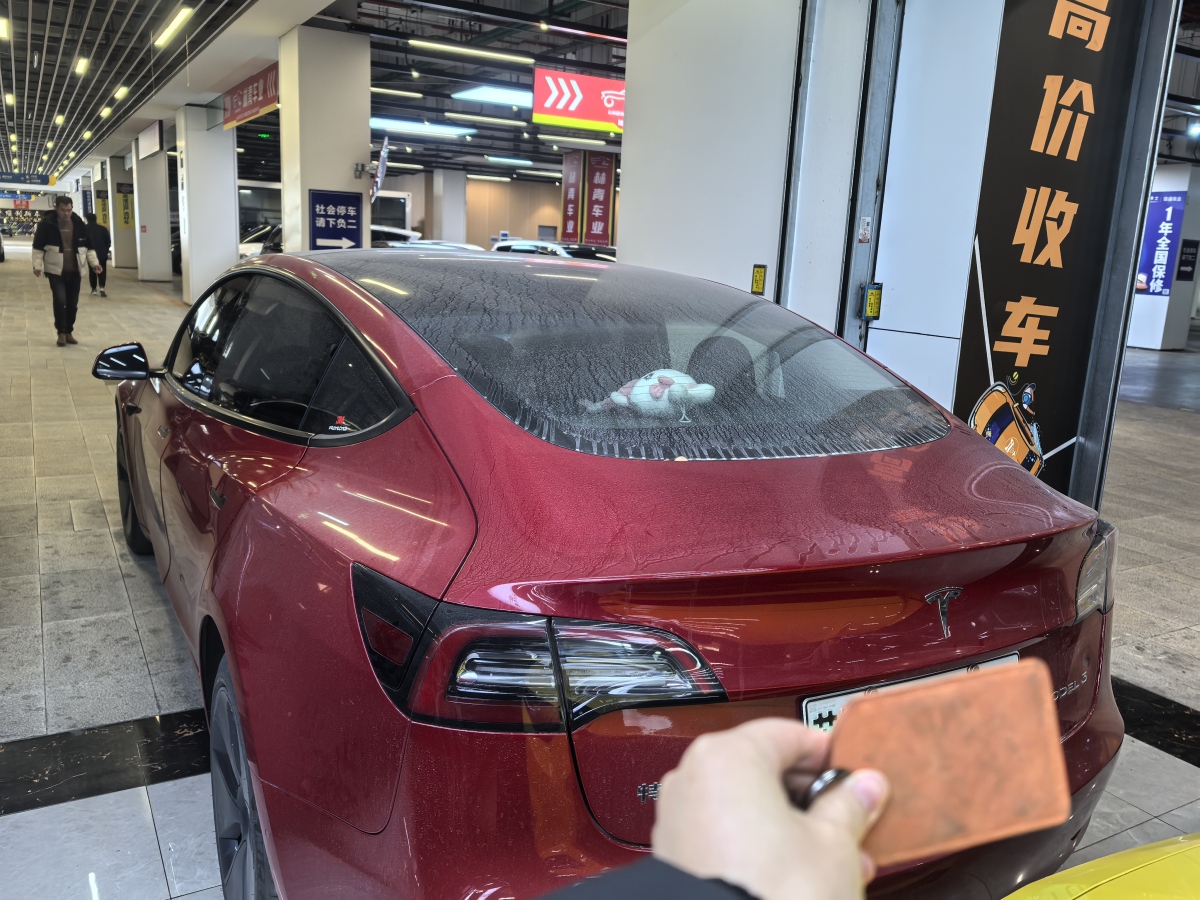 特斯拉 Model 3  2021款 標(biāo)準(zhǔn)續(xù)航后驅(qū)升級版 3D6圖片