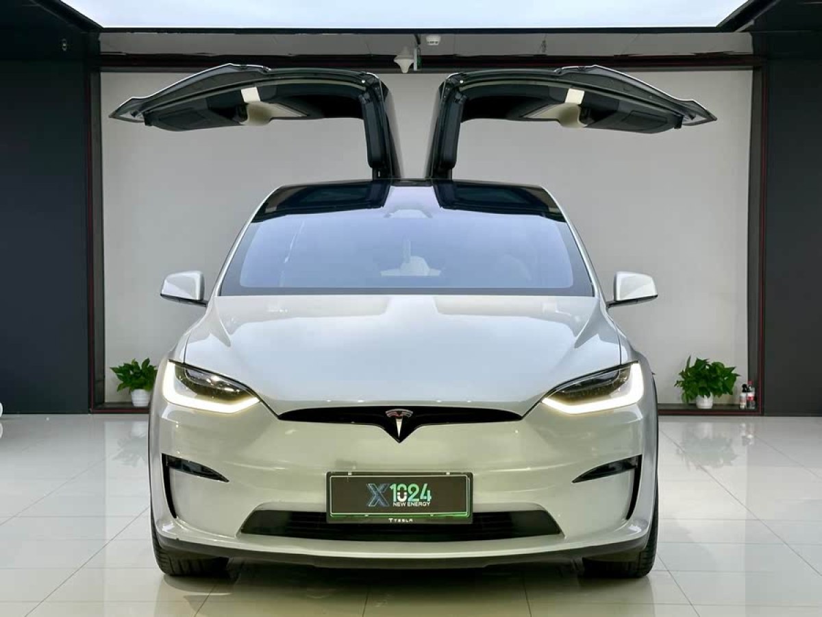 特斯拉 Model X  2023款 雙電機(jī)全輪驅(qū)動(dòng)版圖片
