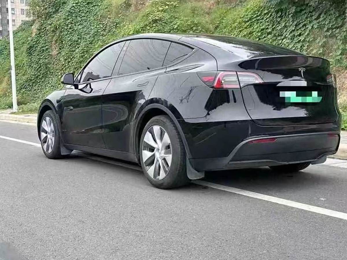 特斯拉 Model Y  2022款 后輪驅(qū)動版圖片