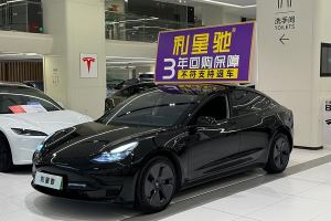 Model 3 特斯拉 改款 后轮驱动版