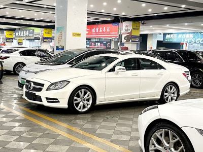 2015年7月 奔馳 奔馳CLS級(進(jìn)口) CLS 300 CGI圖片