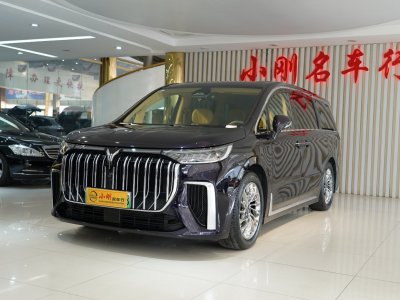 嵐圖 夢想家 PHEV 超長續(xù)航旗艦版圖片