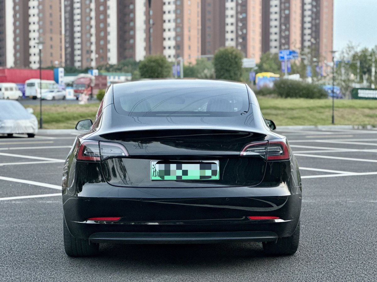 特斯拉 Model 3  2019款 標(biāo)準(zhǔn)續(xù)航后驅(qū)升級版圖片