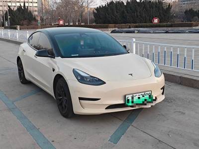 2021年5月 特斯拉 Model 3 改款 標(biāo)準(zhǔn)續(xù)航后驅(qū)升級版圖片