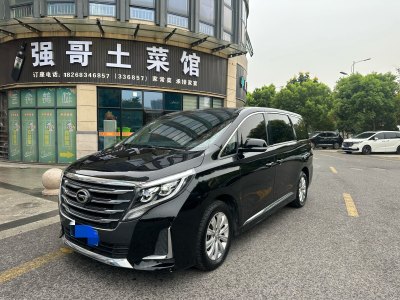 2020年1月 广汽传祺 M8 领航款 390T 尊享版图片