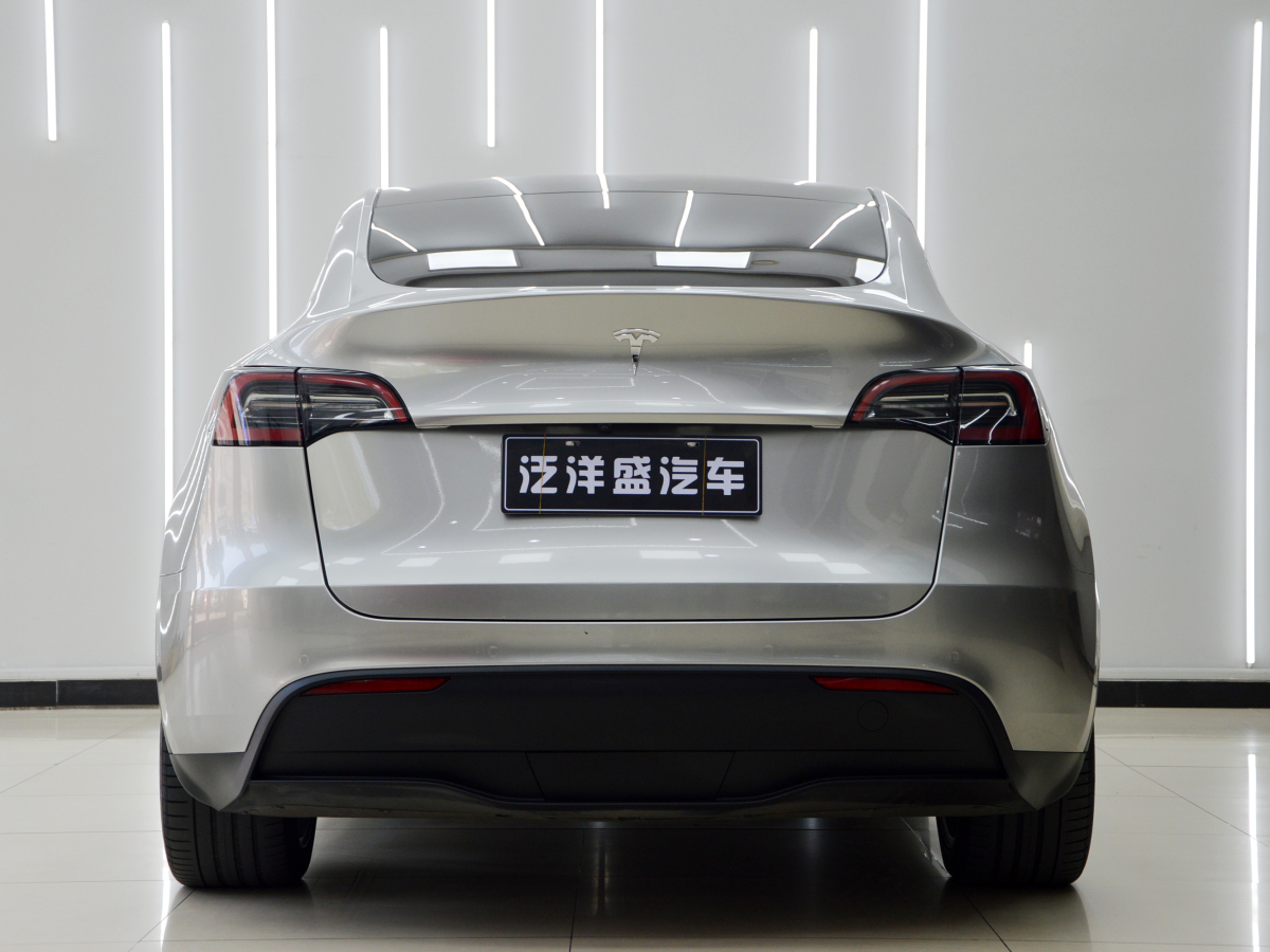 特斯拉 Model 3  2022款 后輪驅(qū)動(dòng)版圖片