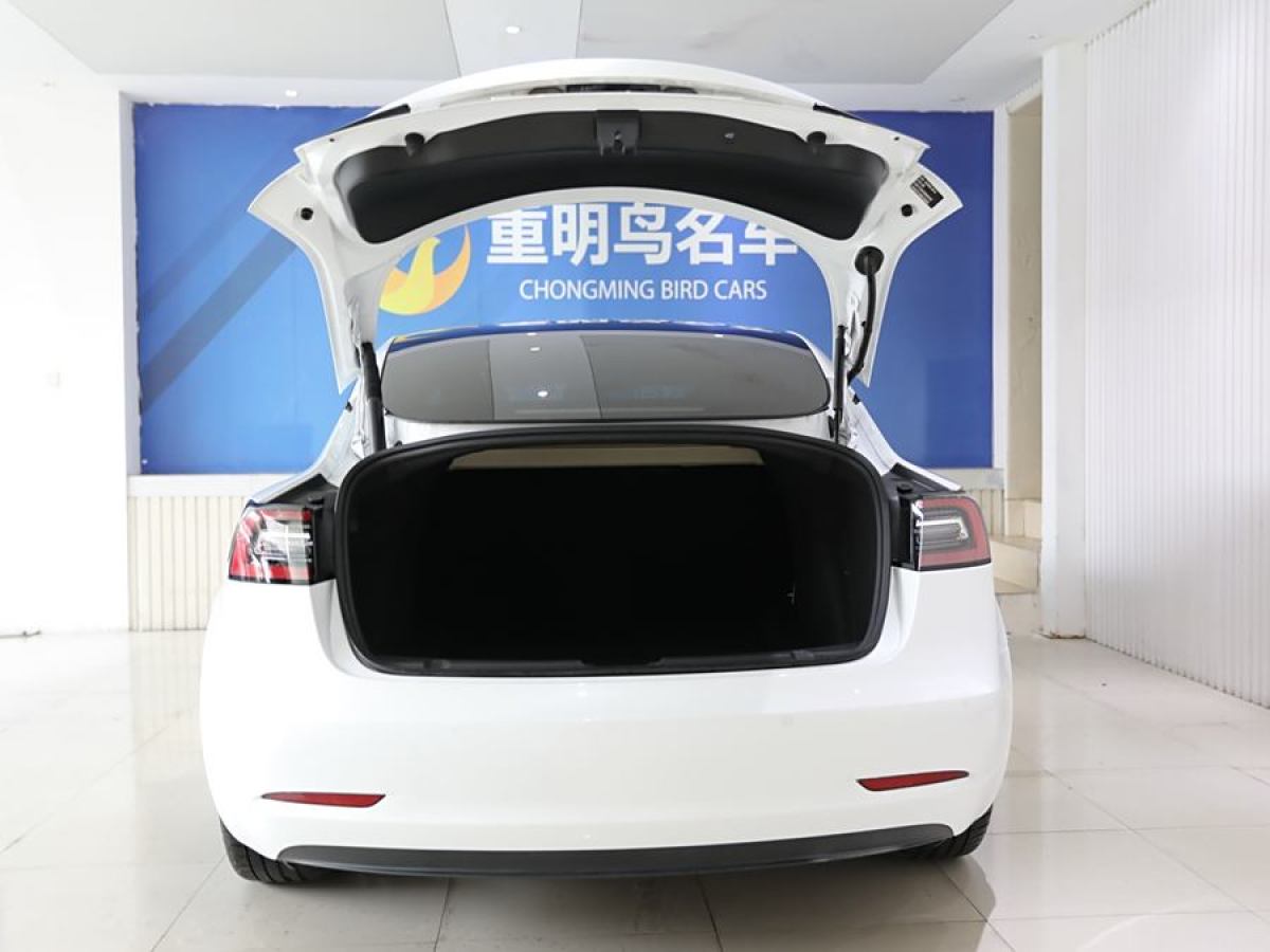 特斯拉 Model 3  2021款 改款 標準續(xù)航后驅(qū)升級版圖片