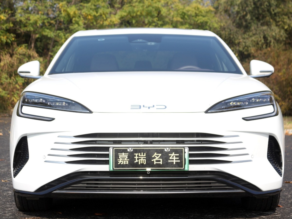 比亞迪 海豹  2023款 DM-i 1.5L 121km 尊貴型圖片