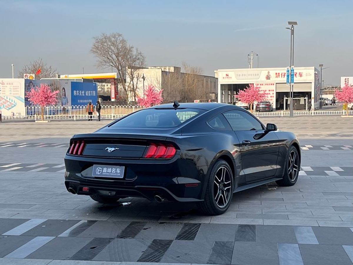 福特 Mustang  2019款 2.3L EcoBoost圖片