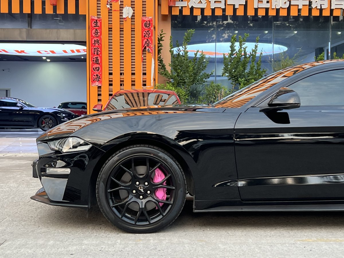 福特 Mustang  2020款 2.3L EcoBoost圖片