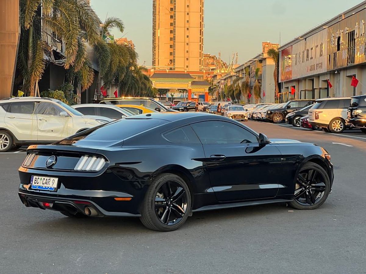 福特 Mustang  2015款 2.3T 性能版圖片