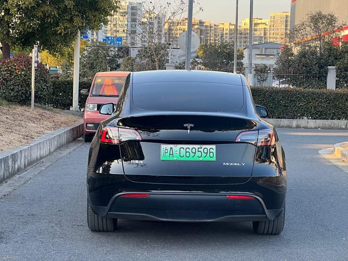 特斯拉 Model 3  2020款 改款 長續(xù)航后輪驅(qū)動版圖片