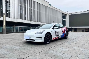 Model 3 特斯拉 Performance高性能全輪驅(qū)動版
