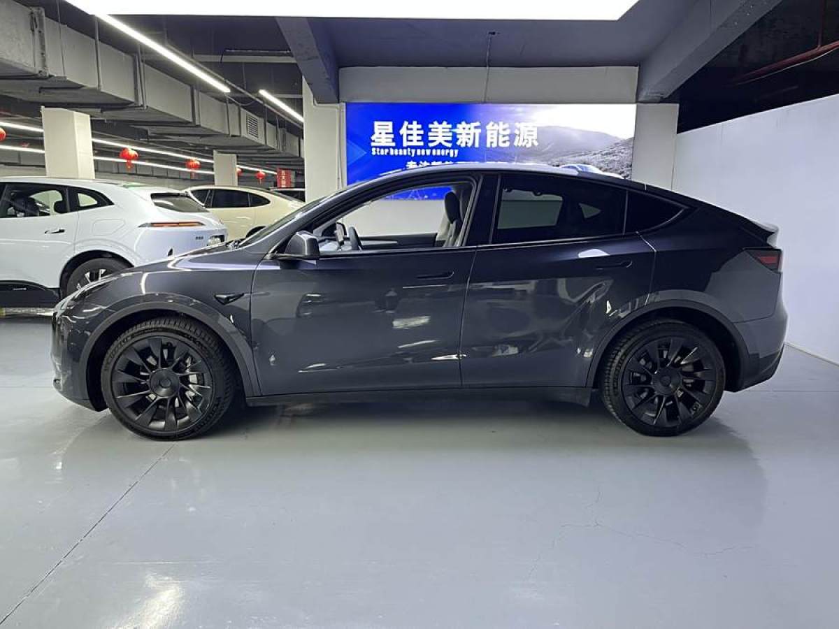 特斯拉 Model Y  2024款 長續(xù)航全輪驅(qū)動版圖片