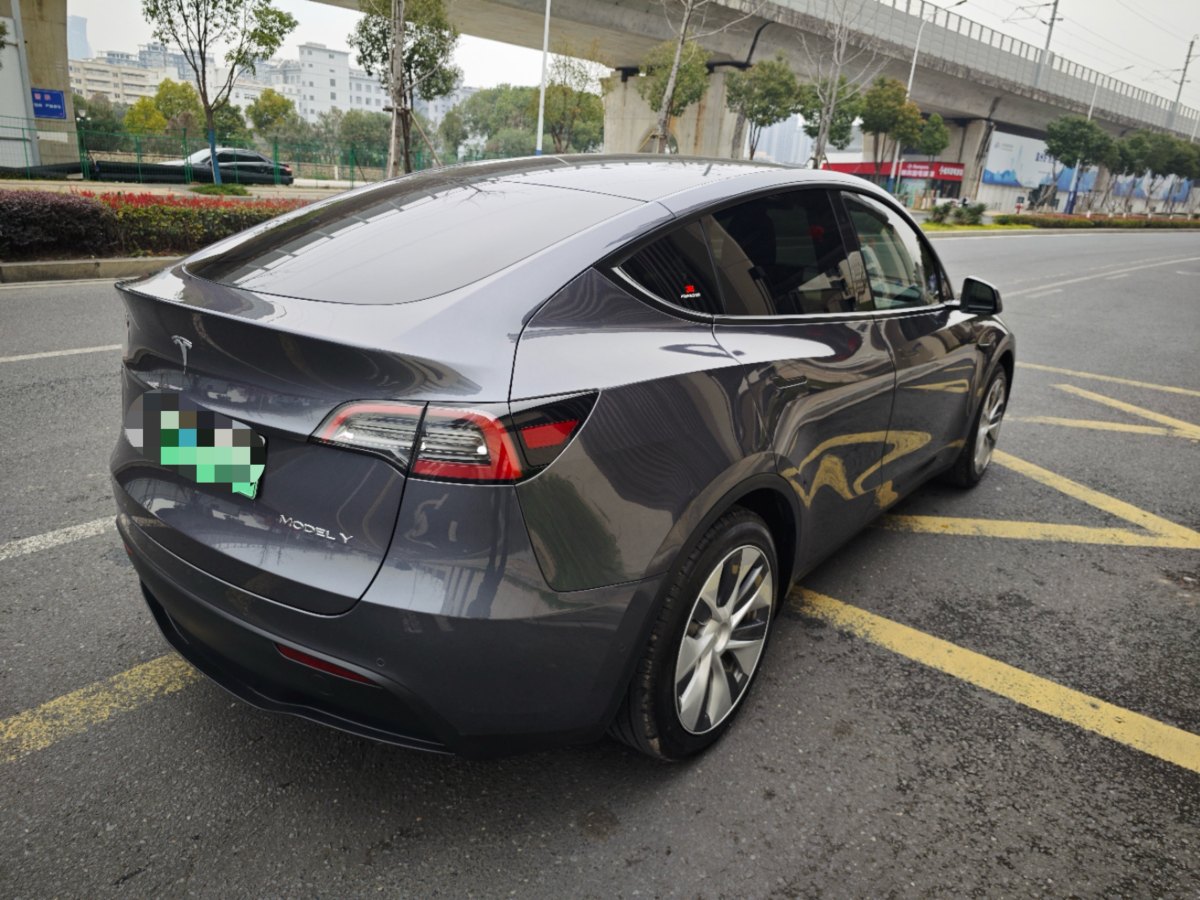 特斯拉 Model 3  2022款 后輪驅(qū)動(dòng)版圖片