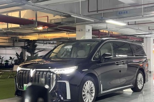 夢想家 嵐圖 EV 長續(xù)航尊貴版