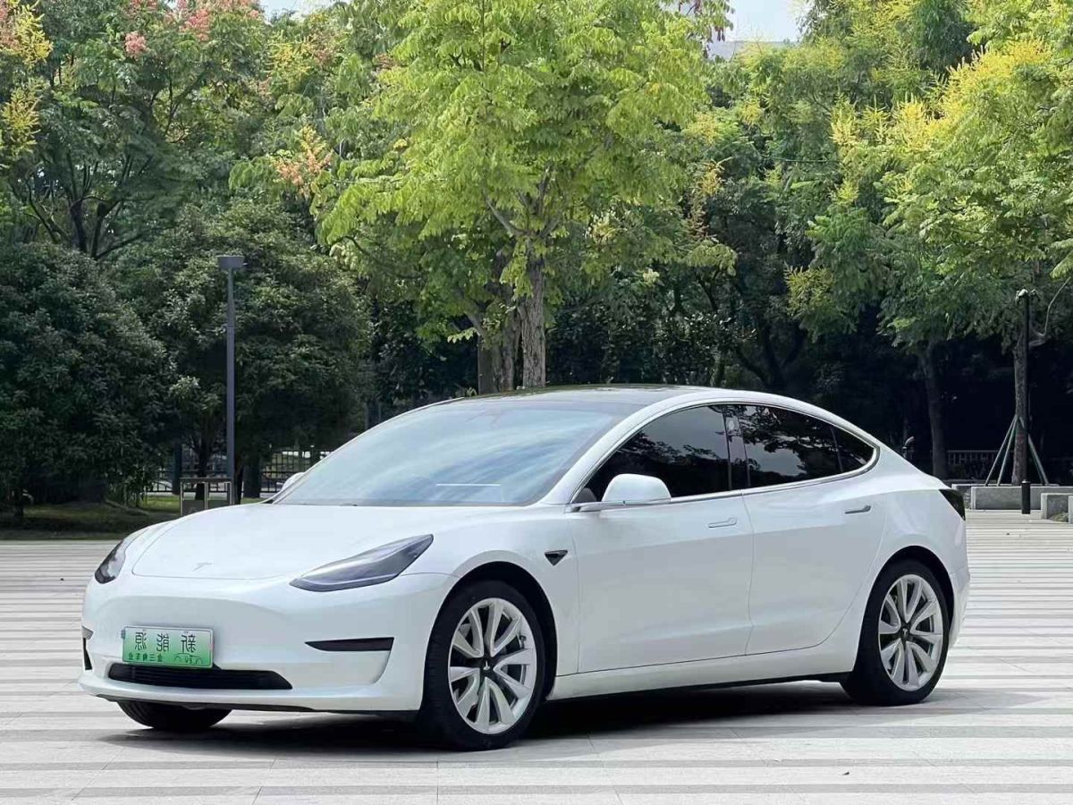 特斯拉 Model X  2020款 Performance 高性能版圖片