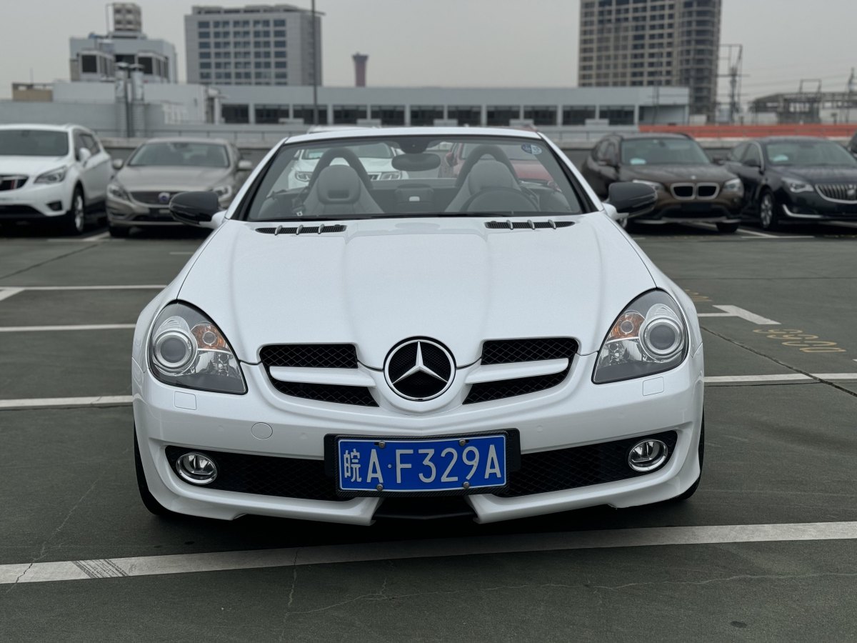 奔馳 奔馳SLK級  2010款 SLK 300 Grand Edition圖片