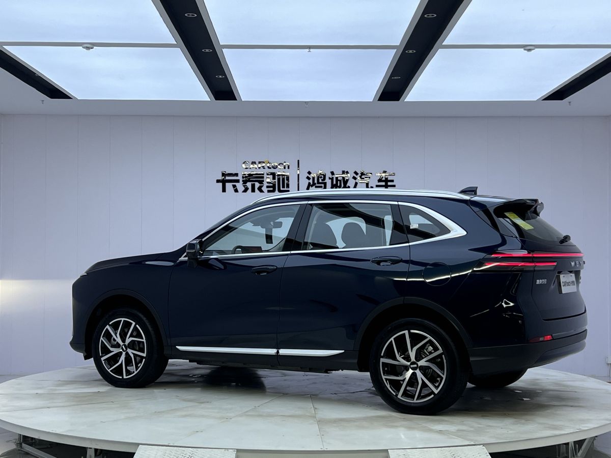 WEY 拿鐵DHT-PHEV  2022款 1.5T 四驅(qū)超大杯圖片